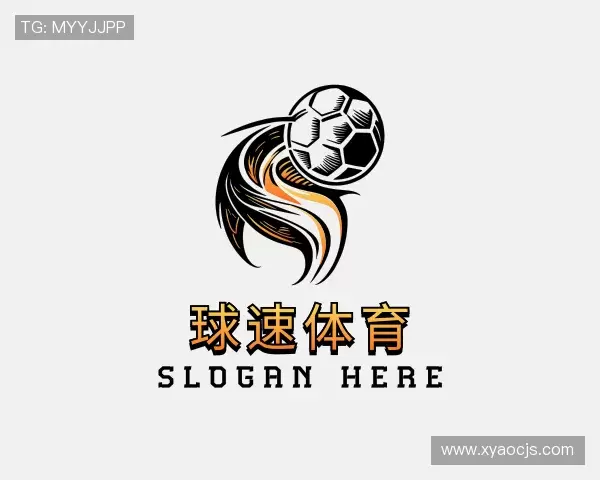 解读球速体育在线登录