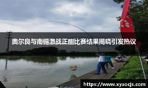 奥尔良与南锡激战正酣比赛结果揭晓引发热议